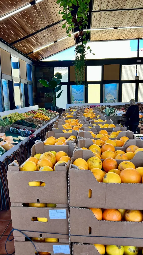 WhatsApp Image 2026-02-20 at 10.18.12.webp