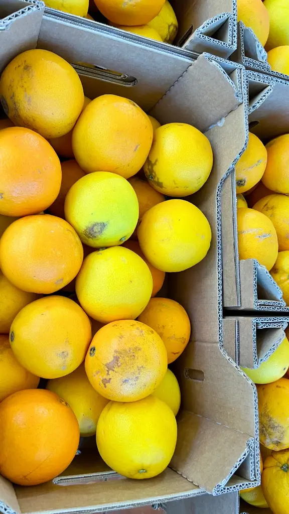 WhatsApp Image 2026-02-20 at 10.18.12 (2).webp