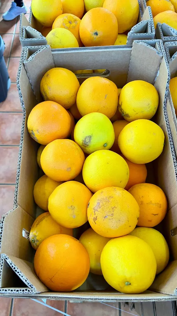 WhatsApp Image 2026-02-20 at 10.18.12 (3).webp