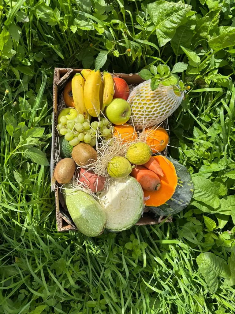 🎄 NOCHEBUENA EN EL CAMPO