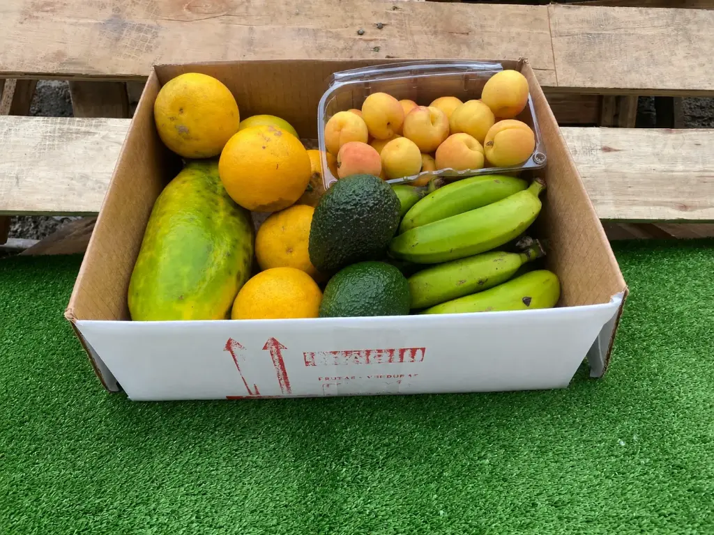FRUTI FRUTI