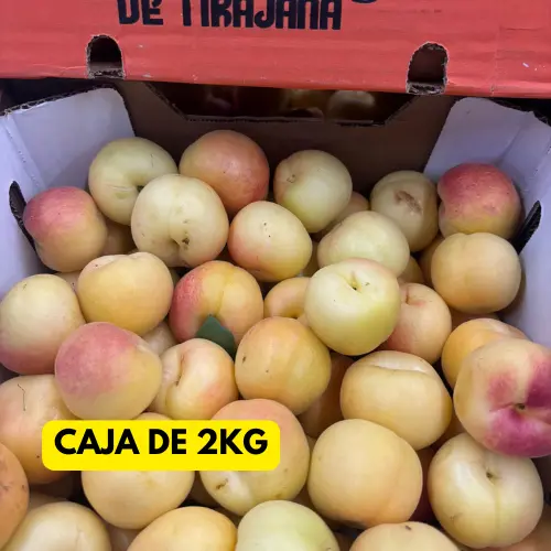 ALBARICOQUE TIRAJANA