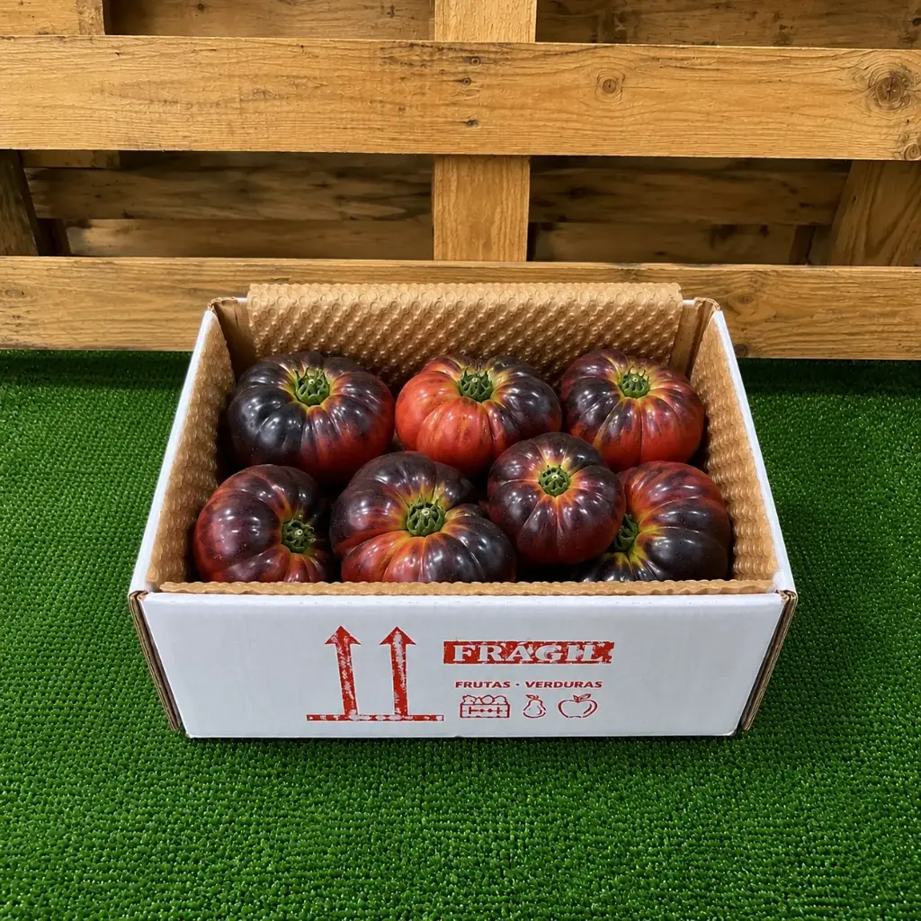 MINI TOMATE AZUL