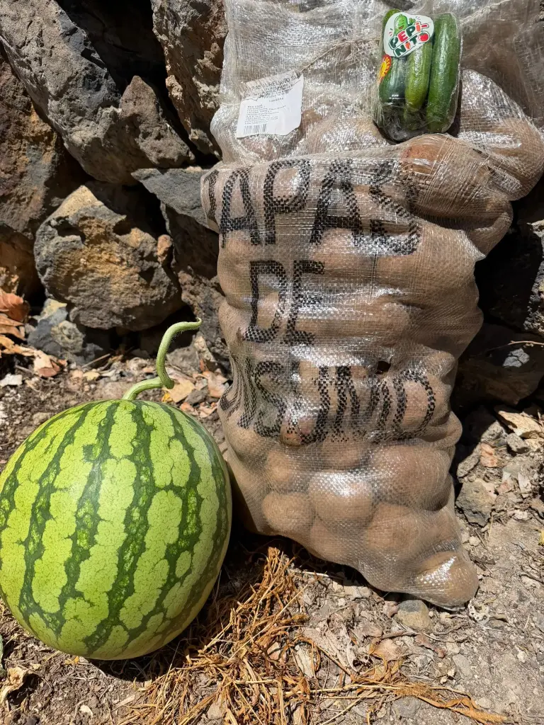COMBO DE LA SEMANA