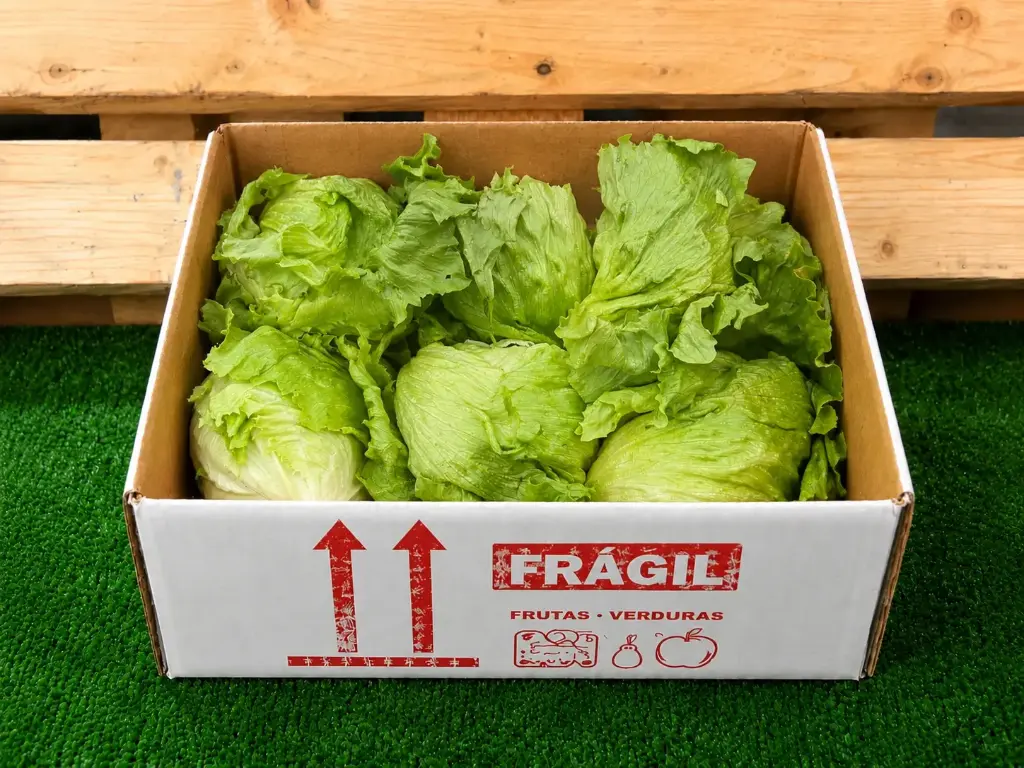 SALVAR LECHUGA