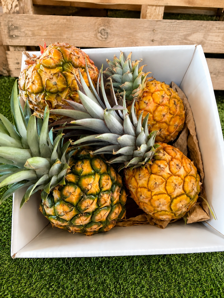 PIÑAS DEL HIERRO WEB