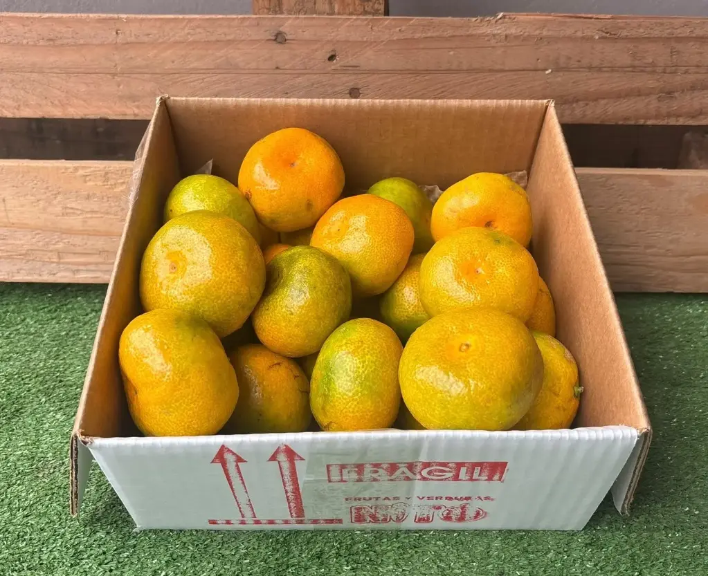 MANDARINAS PAIS WEB