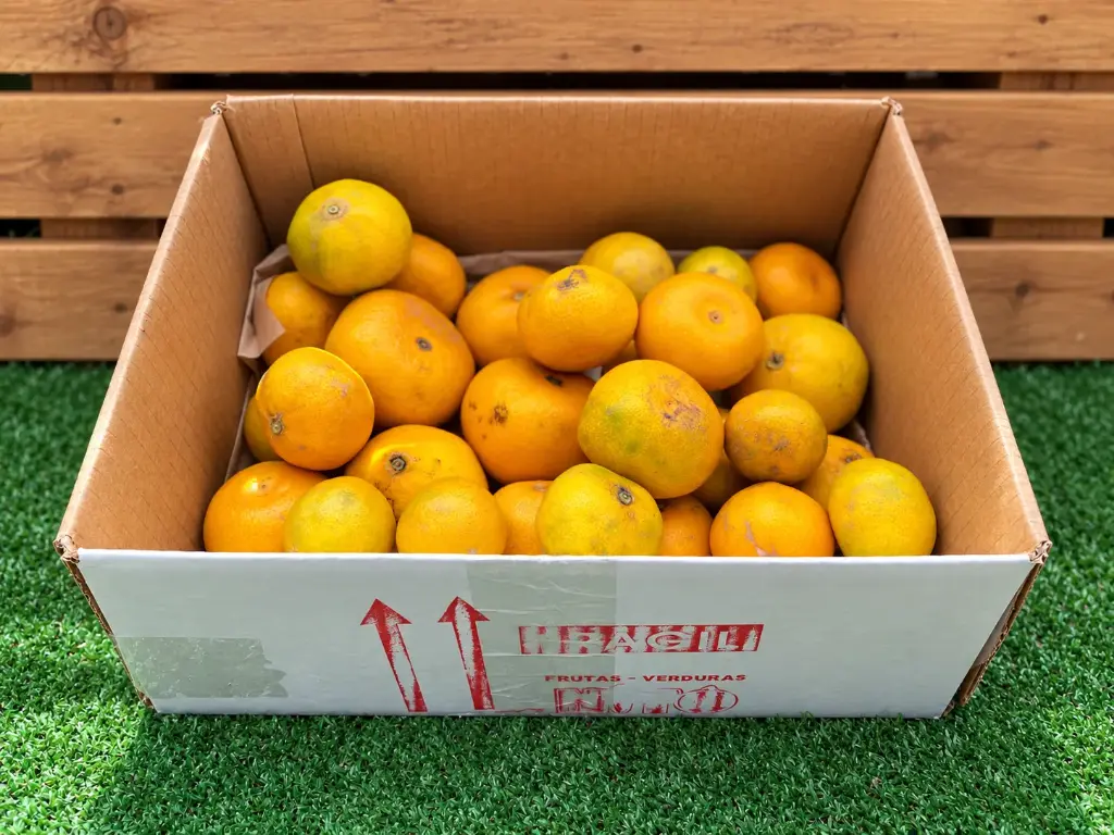MANDARINAS PAIS WEB