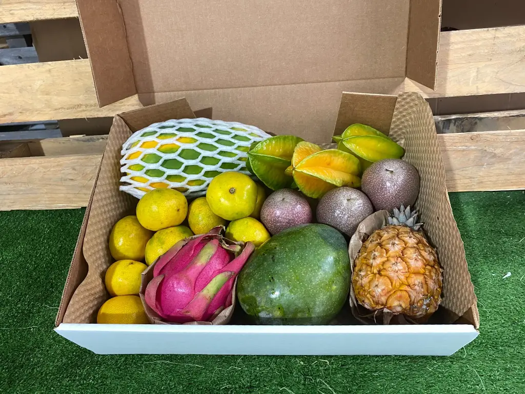 LOS TROPICALES DE NITO