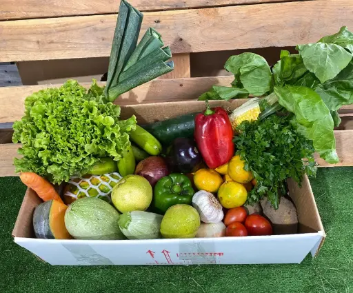 [PR/00634] MINI CAJA SANA