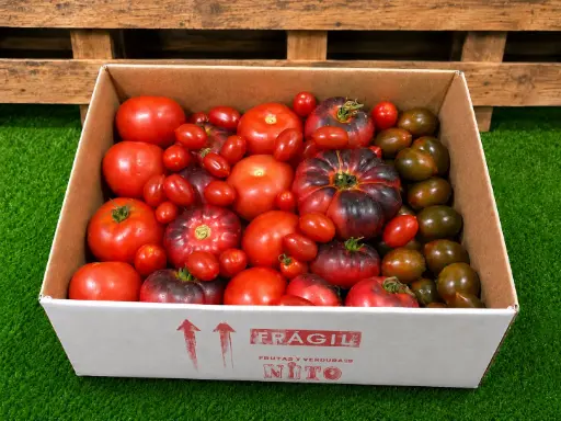 [PR/01299] TOMATINITO