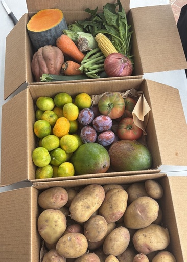 [PR/01301] PA MI SUEGRA