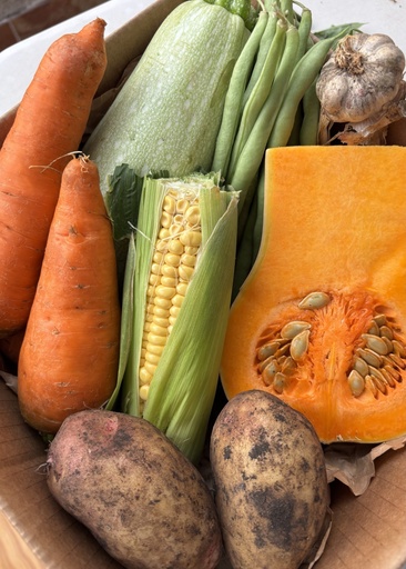 [PR/01302] EL MINIPOTAJE DE NITO