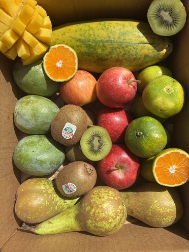 [PR/01309] LA FRUTIBOX