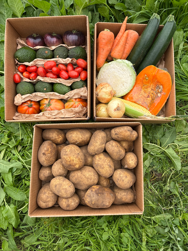 [PR/01492] EL 3 EN 1