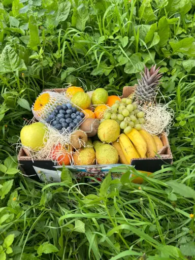 [PR/01503] 🎄 DULCE NAVIDAD