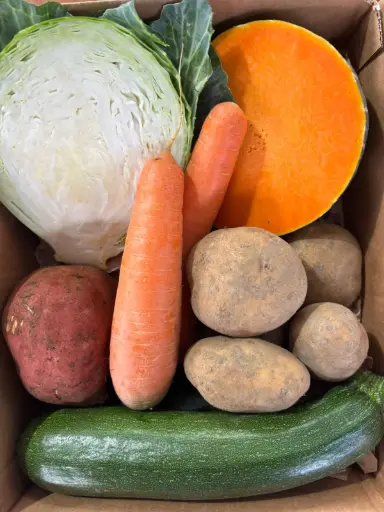 [PR/01508] PUCHE-NITO