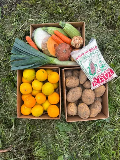 [PR/01678] DE TODO UN POCO