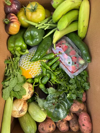 [PR/01741] LA SUPER SANA