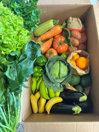 [PR/01912] DE LA FINCA