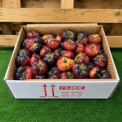 [PR/01944] TOMATE AZUL