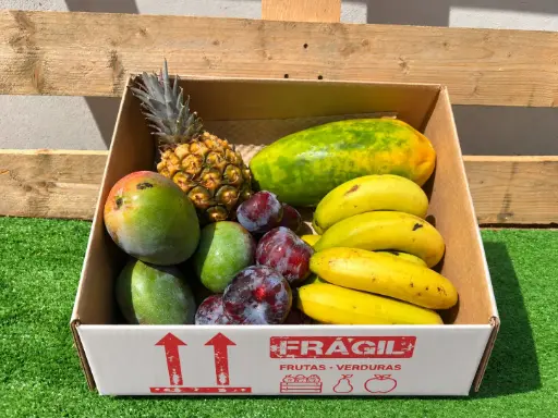 [PR/02140] FRUTI FRUTI