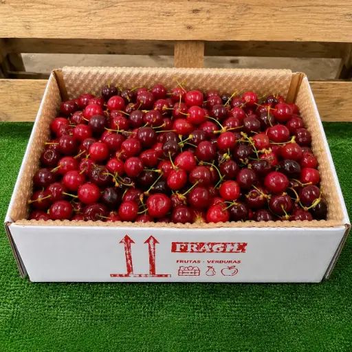 [PR/02167] CEREZAS JERTE 
