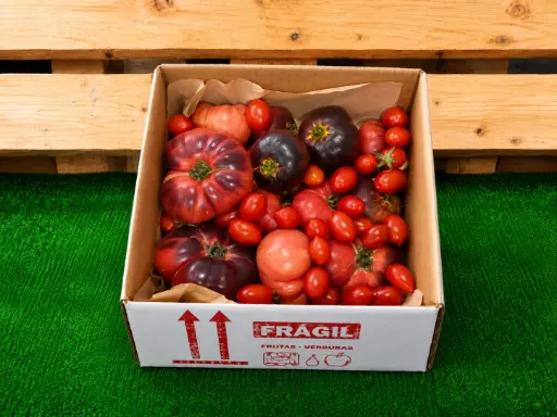 [PR/02204] MINI TOMATE AZUL