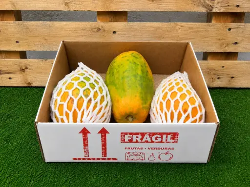 [PR/02229] LAS PAPAYAS DE NITO